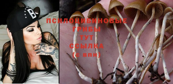 не бодяженный Кодинск
