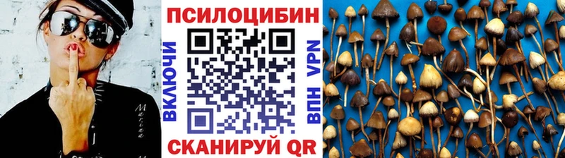 Галлюциногенные грибы Psilocybine cubensis  Купить где  Лабытнанги 